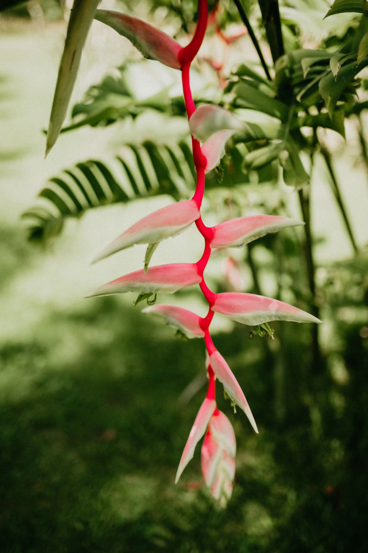 8-дневные ретриты