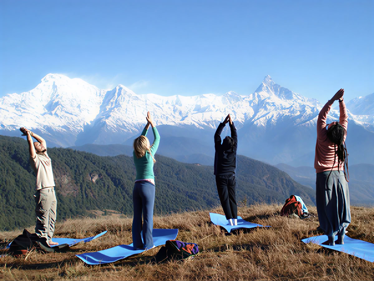 Программа полного детокса
