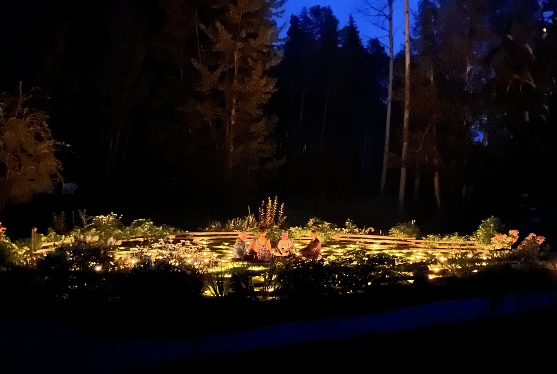 Пробуждение в дикой природе