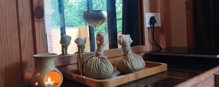 5 ночей 6 дней Шуддхи Suddhi Holistic Wellness Retreat