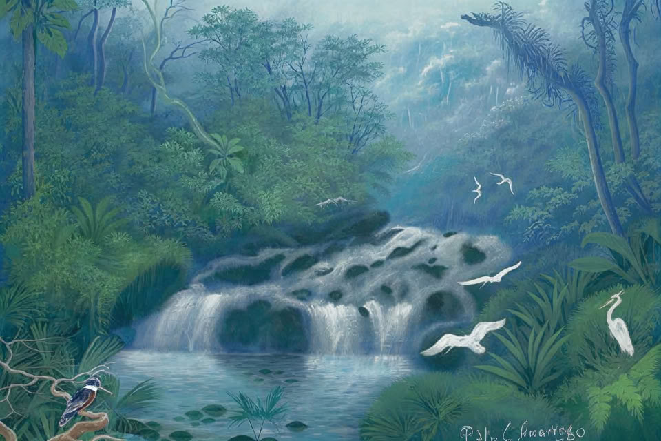 24–31 января 2027 в эко-лодже Ocean Forest
