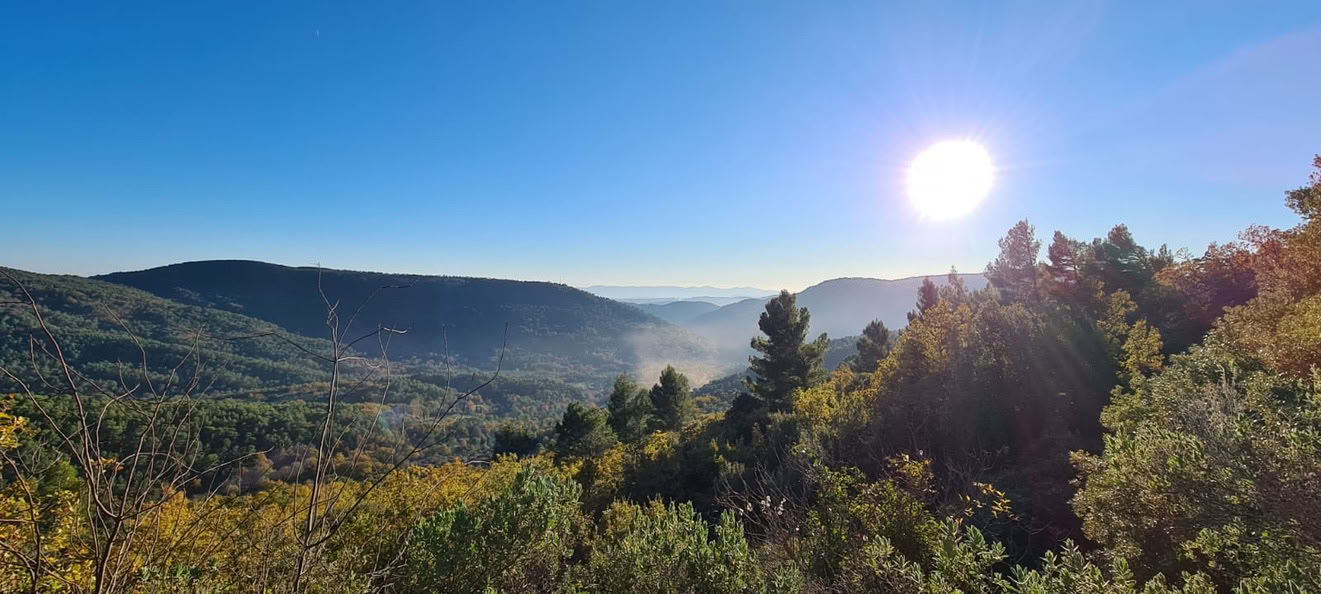 Детокс-ретрит