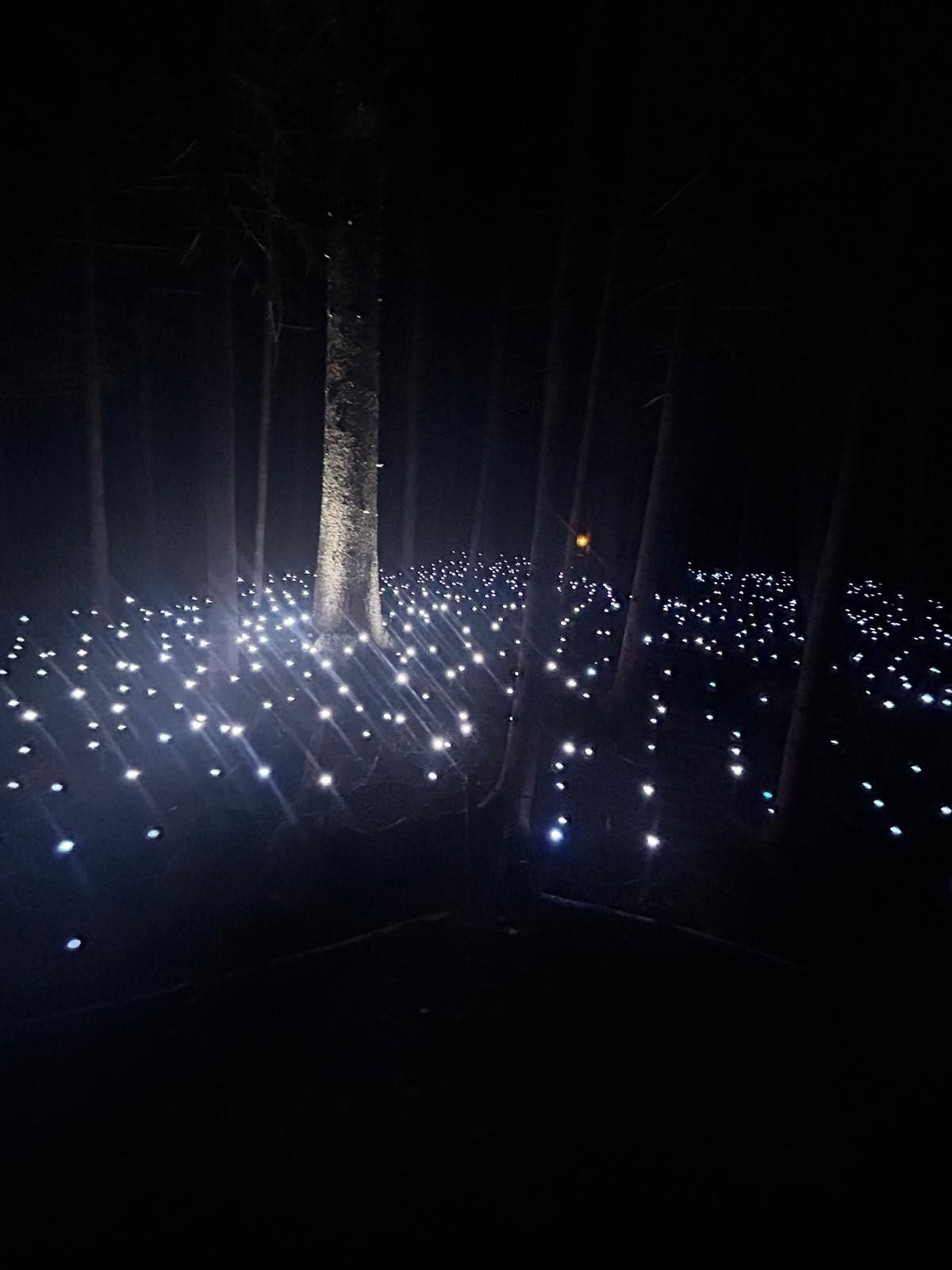 Опыт глэмпинга Akadi Lumina