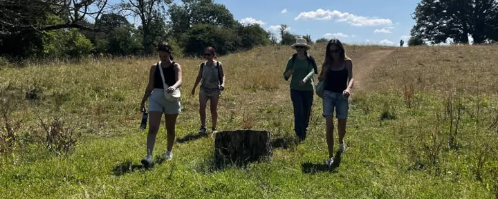 Фестиваль достойной Земли