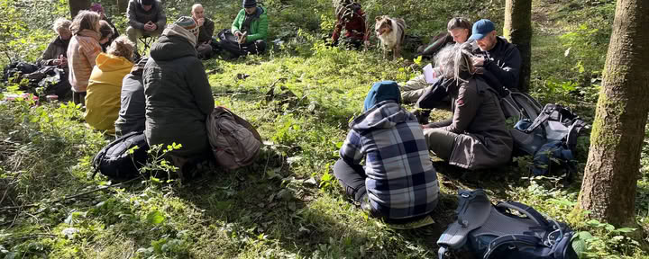 Тренинг по зеркалированию для сопровождающих в природе и коучей – 22–25 октября 2026 – ПОСЛЕДНИЕ 2 МЕСТА