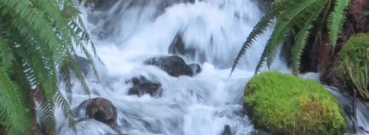 Ретрит исцеления в Frog Creek, WA