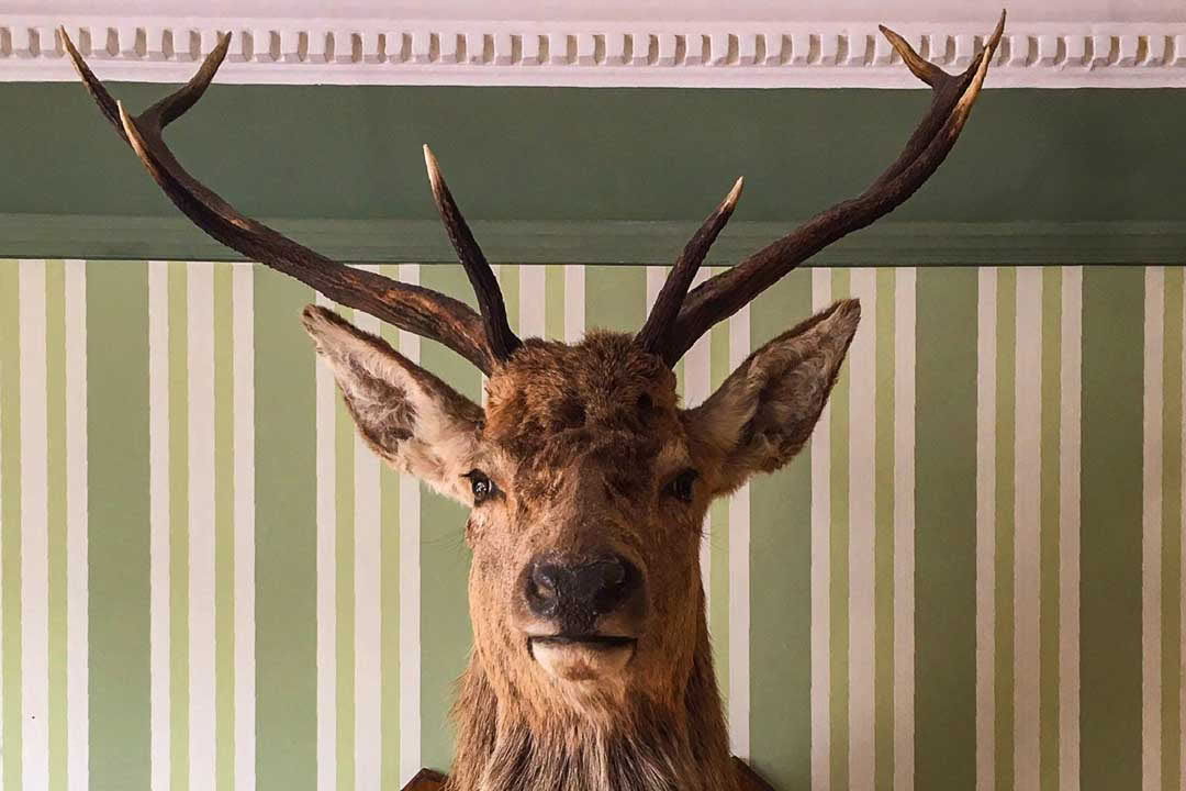Релаксация в Rannoch