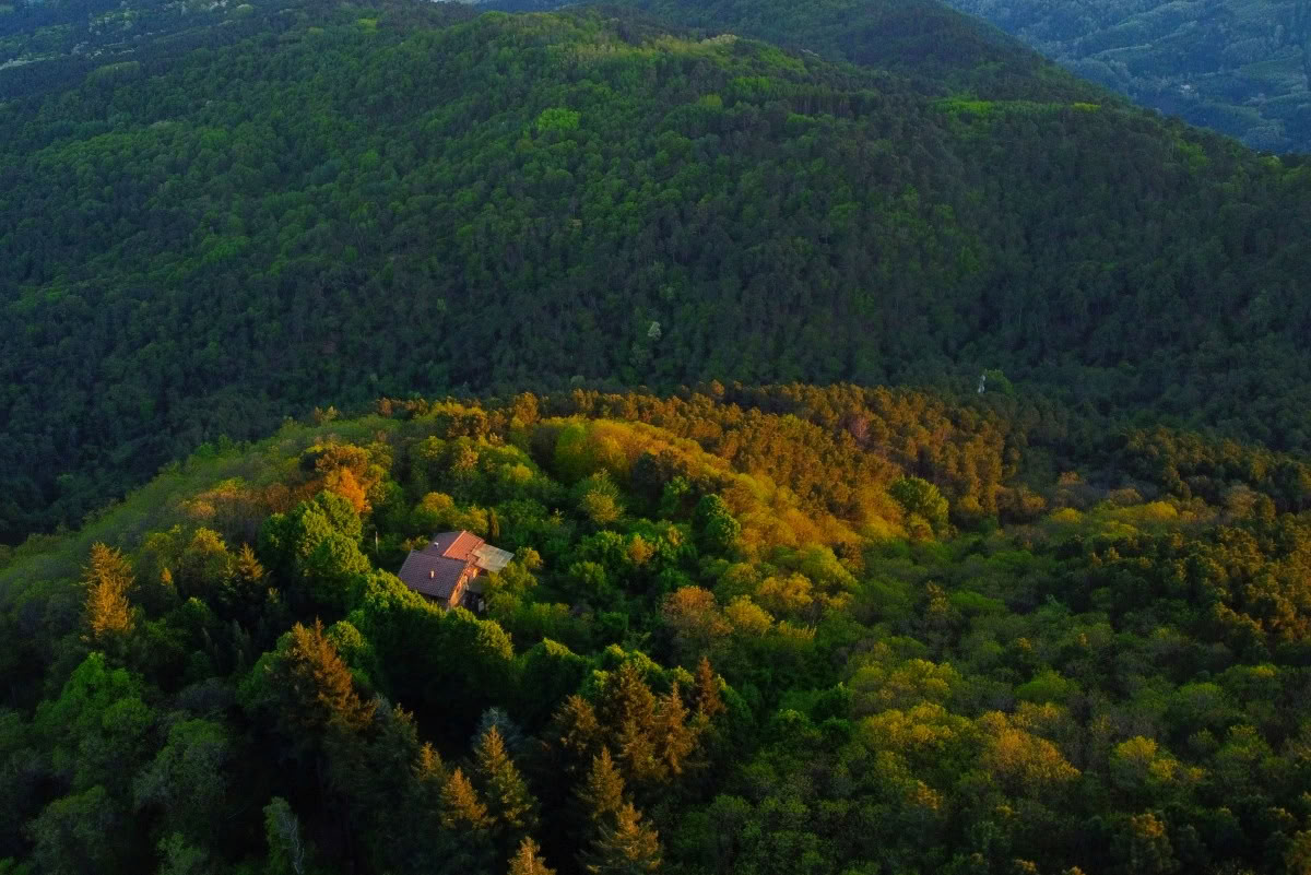 200-часовой курс RYT · Тоскана, Италия · сертифицировано Yoga Alliance