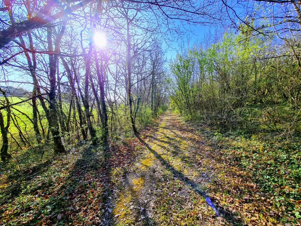 Детокс, йога и благополучие