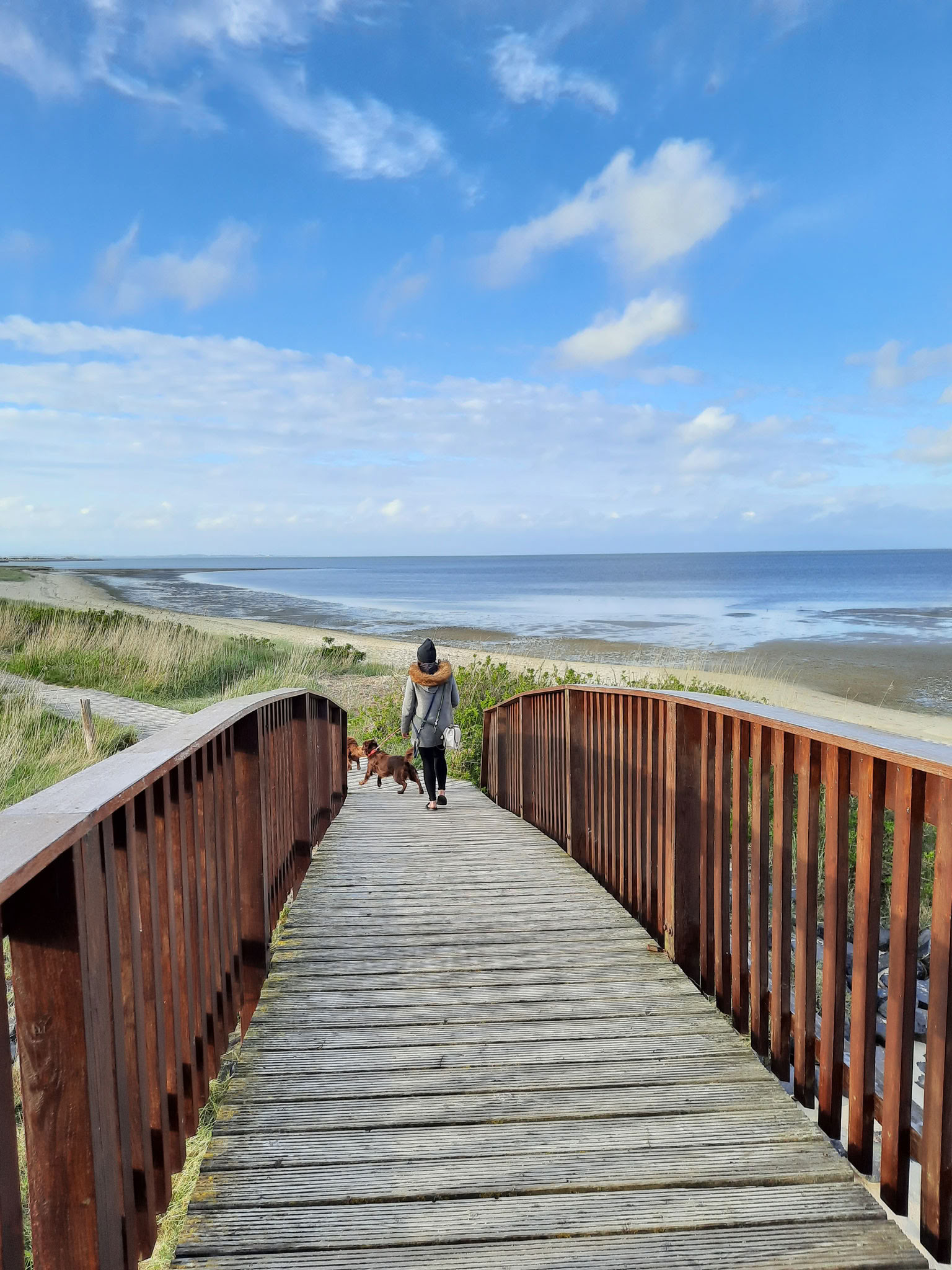 Неделя йоги
