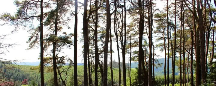 Возвращение в Муклаг — Самайн — Mucklagh Lodge