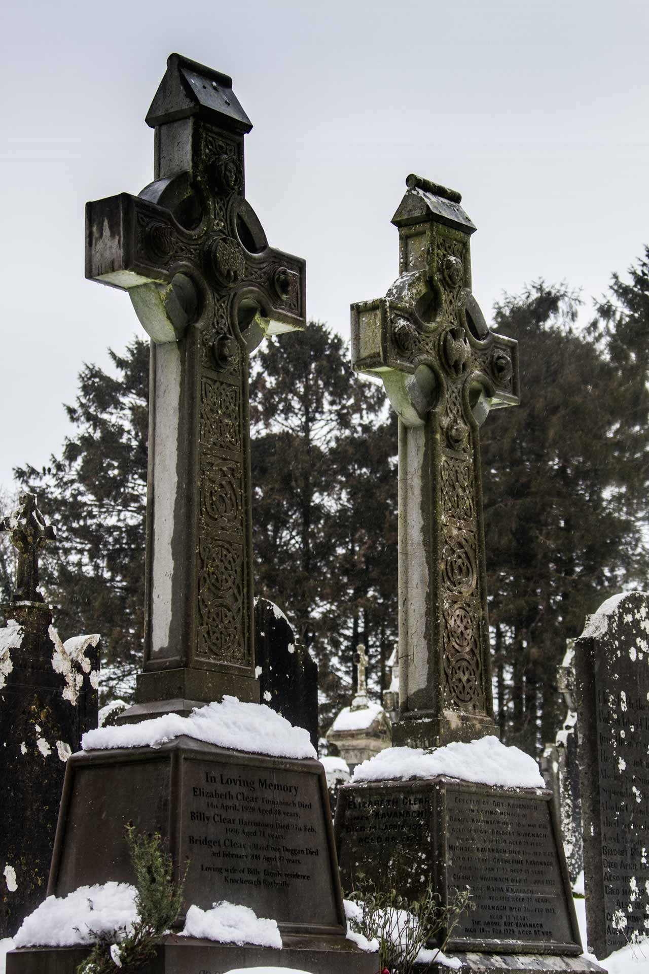 Взращивай свою природу