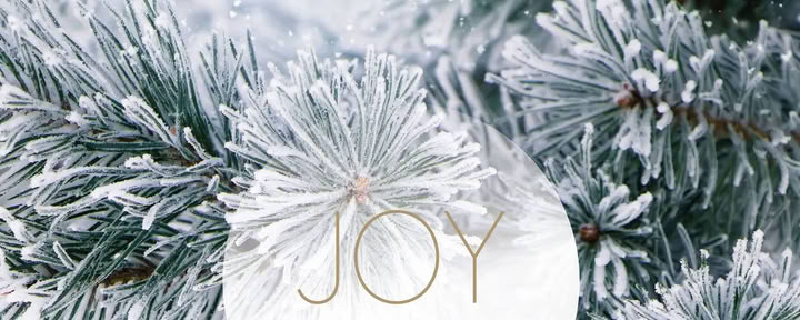 Йога-перерыв в декабре | с Joy Yoga — Landguet Ried, Центр осознанной жизни | ретрит-центр и семинарный дом