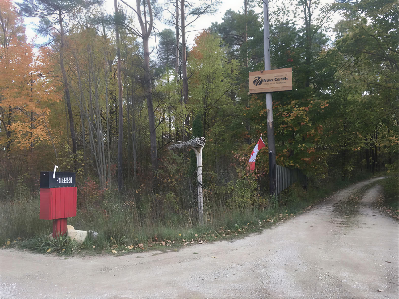 Снегоступы