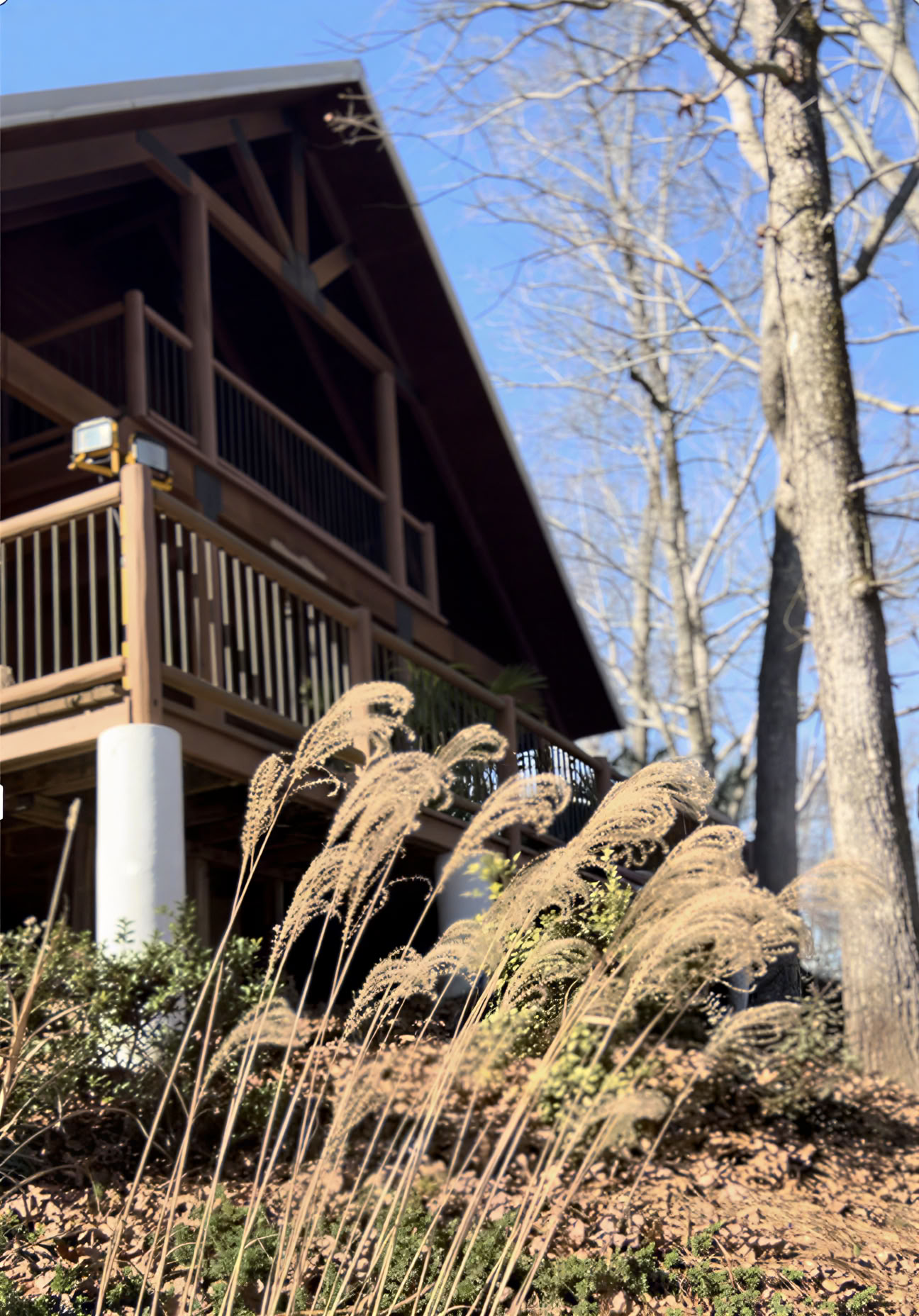 Коллективный оздоровительный опыт в Paradise Park ATL