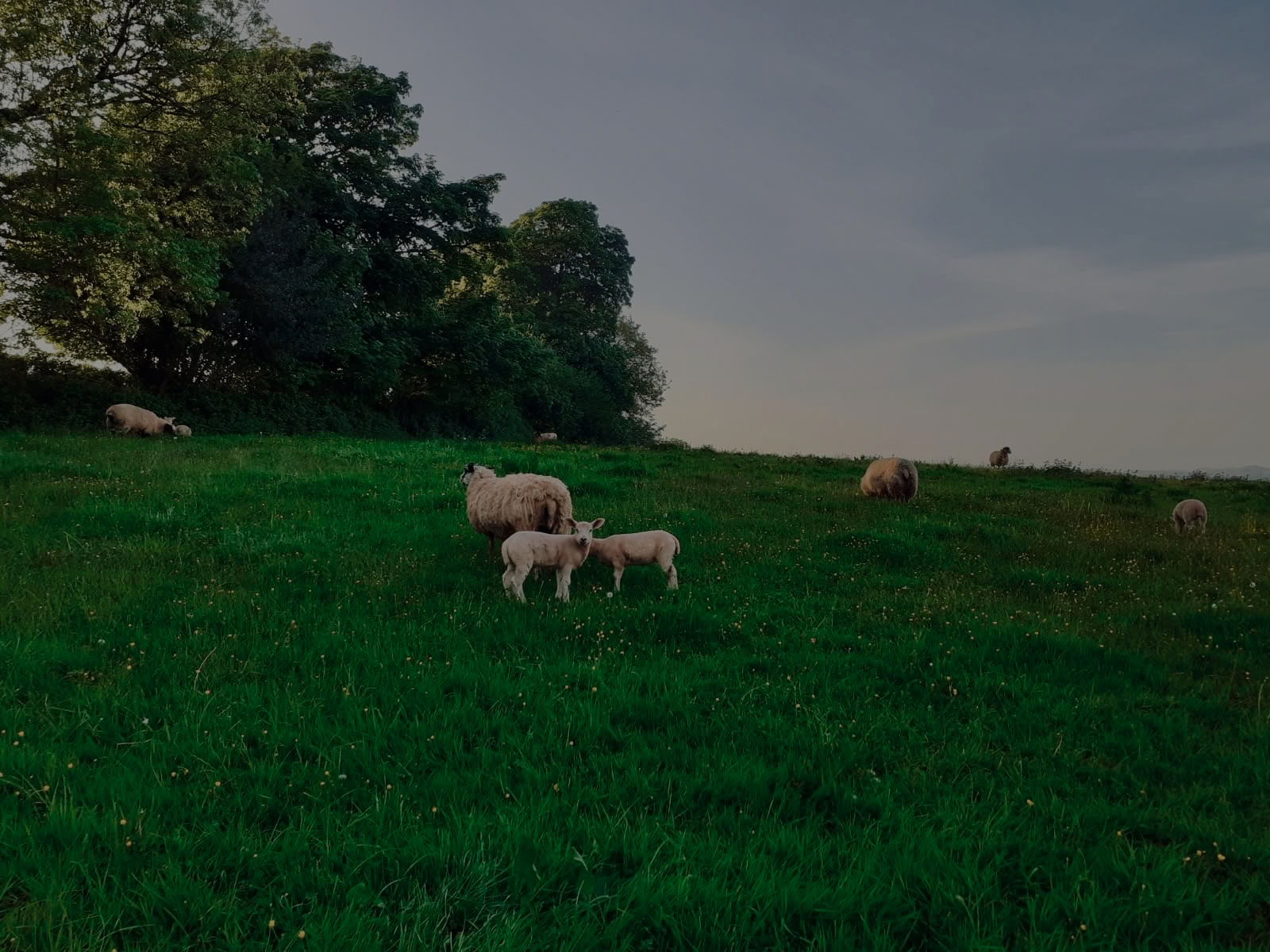 Ретрит Sharpham Trust