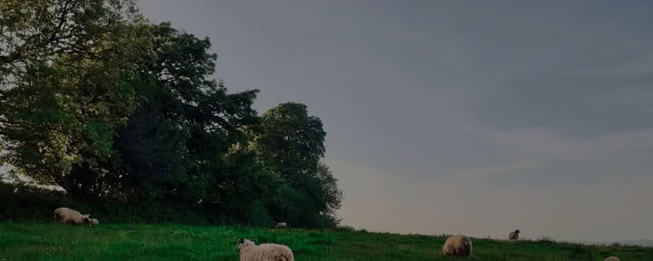 Ретрит Sharpham Trust