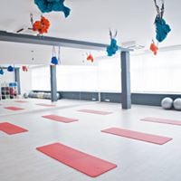 «Гвоздика»