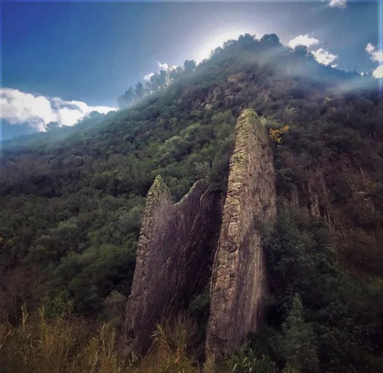 Астрея Флора