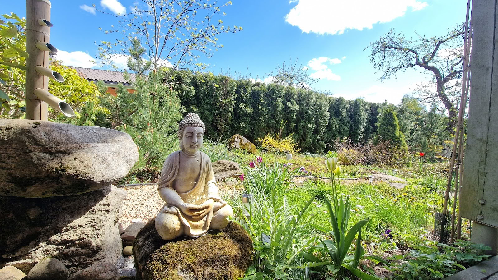 Медитационный центр Ояс, курорт / OJAS Meditation Center Resort