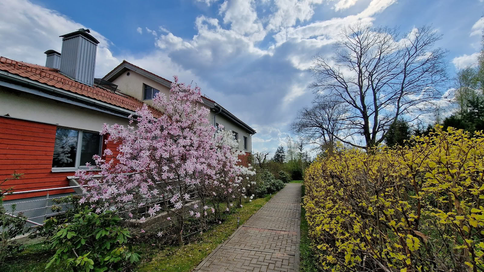 Медитационный центр Ояс, курорт / OJAS Meditation Center Resort