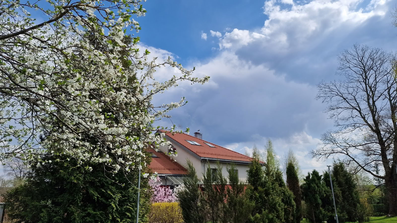 Медитационный центр Ояс, курорт / OJAS Meditation Center Resort