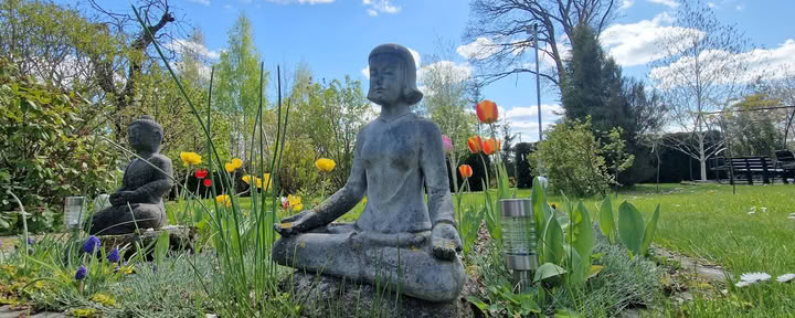 Медитационный центр Ояс, курорт / OJAS Meditation Center Resort