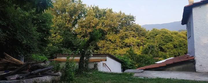 Каликалос Анилио