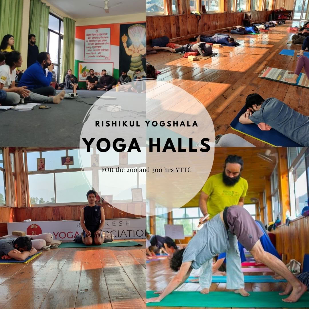 Rishikul Yogshala Rishikesh — курс подготовки преподавателей йоги в Ришикеше, Индия