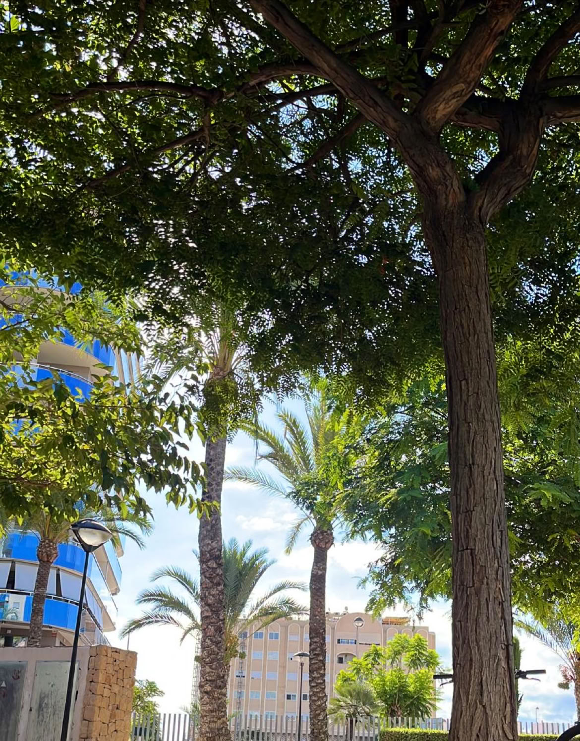 Ретриты и фитнес REVIVE от Bomba Fitness Campello