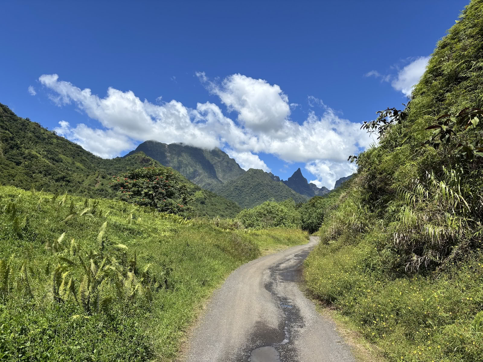 Туры Te Mana Tahiti