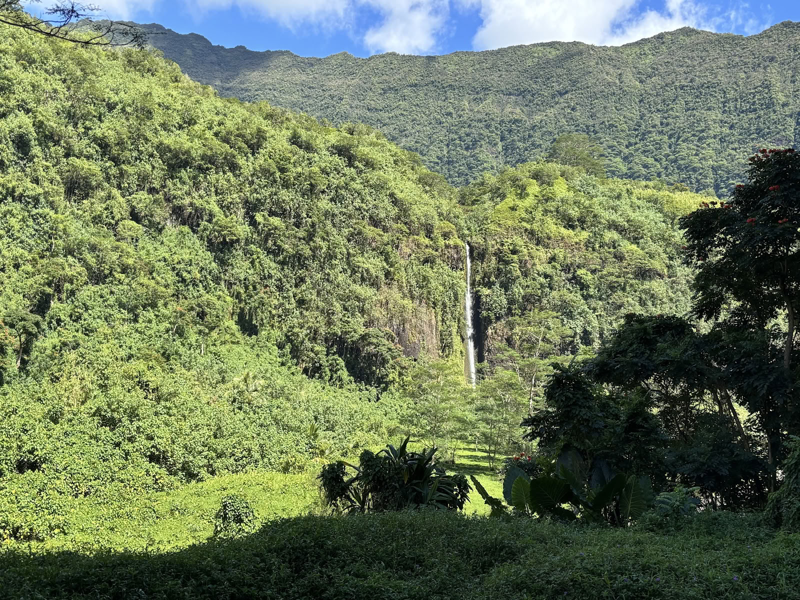 Туры Te Mana Tahiti