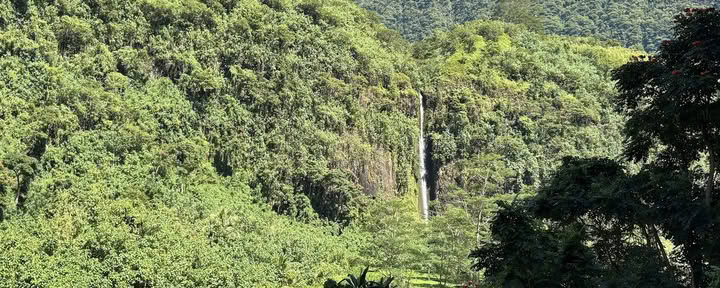 Туры Te Mana Tahiti