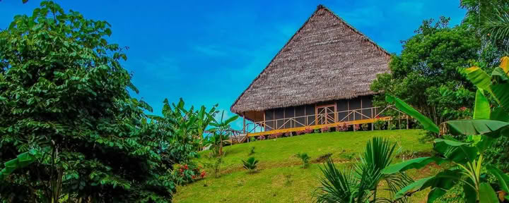 «Цветок жизни»