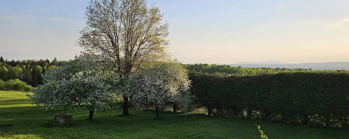 Центр Тара