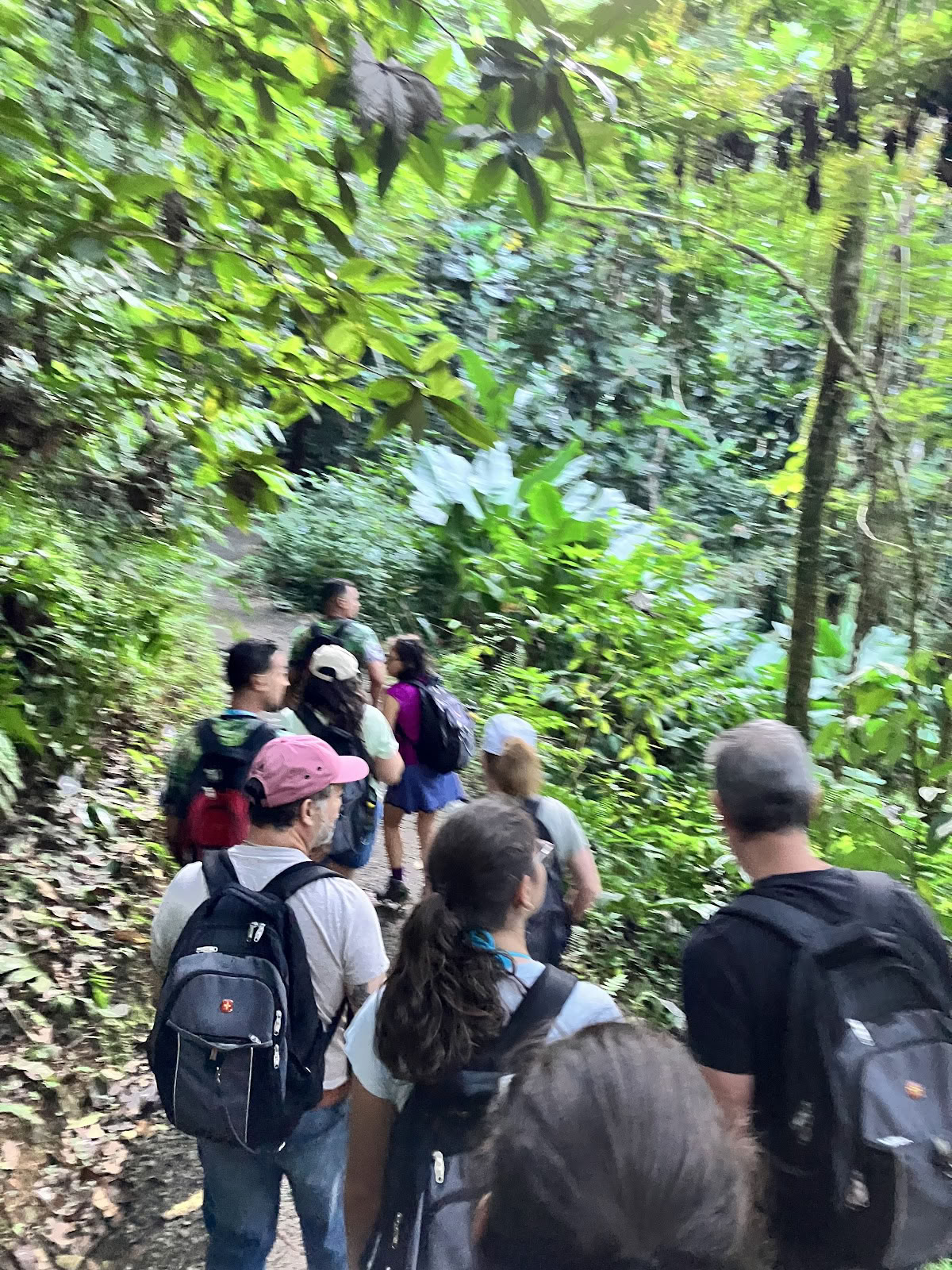 Туры El Yunque Inc.