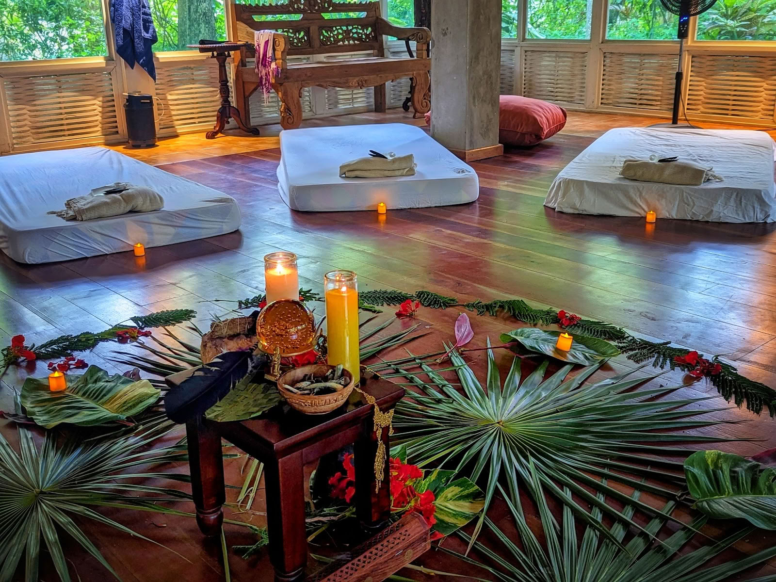 ONE Retreats | Ретриты с псилоцибиновыми грибами