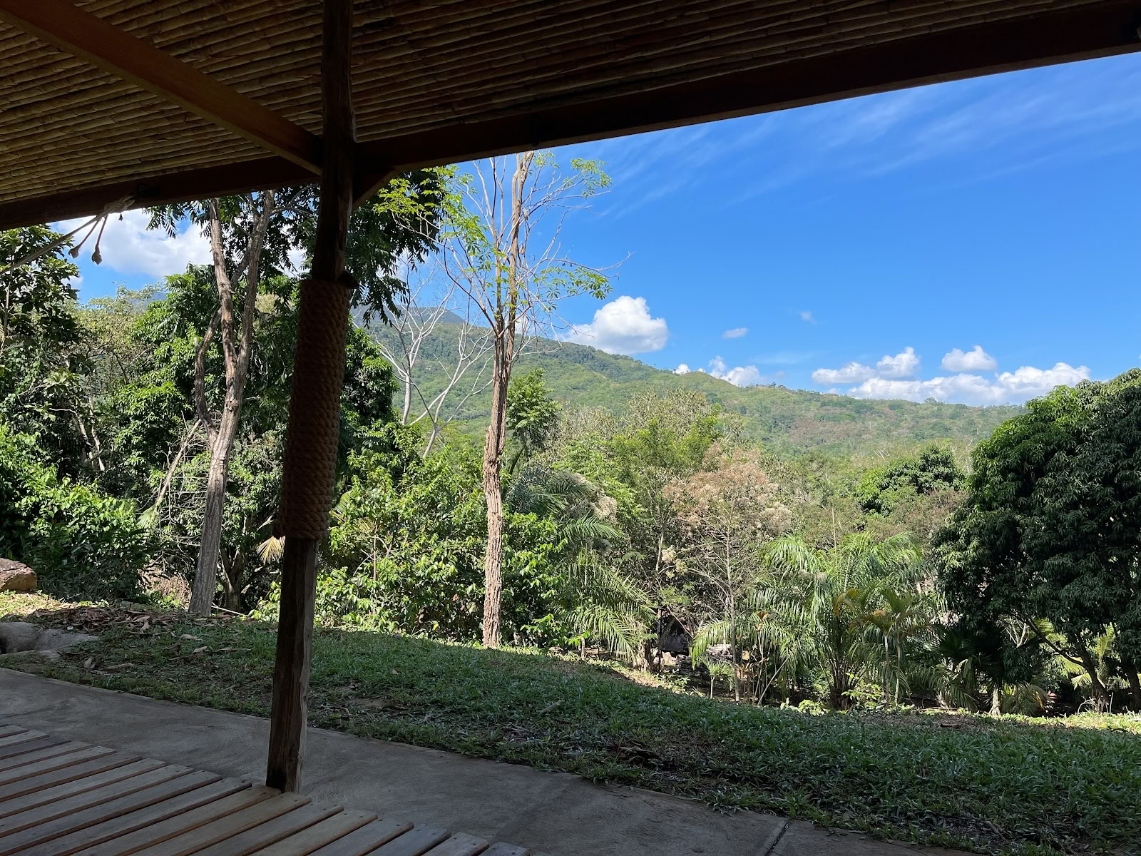 Эколодж Cordillera Escalera / Тарапото