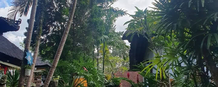 Центр велнеса Bali Bliss в Убуде