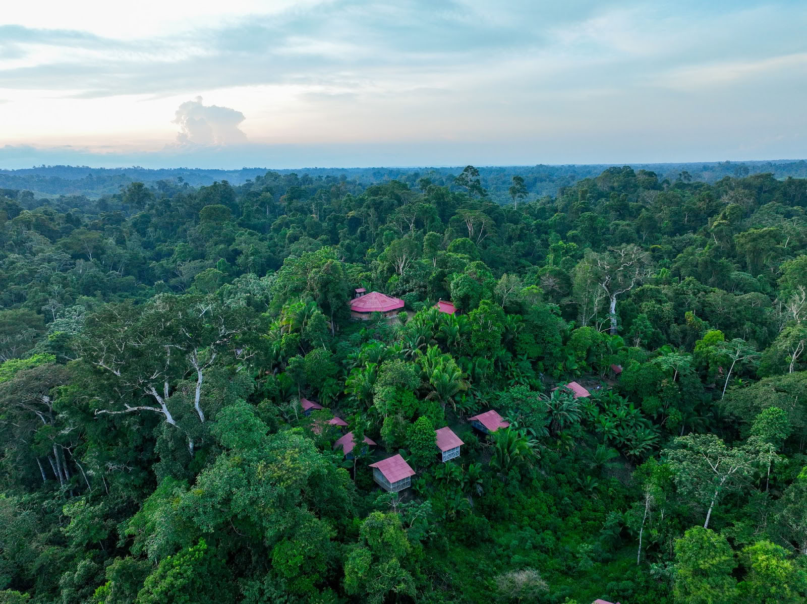 Курорт Madre Selva