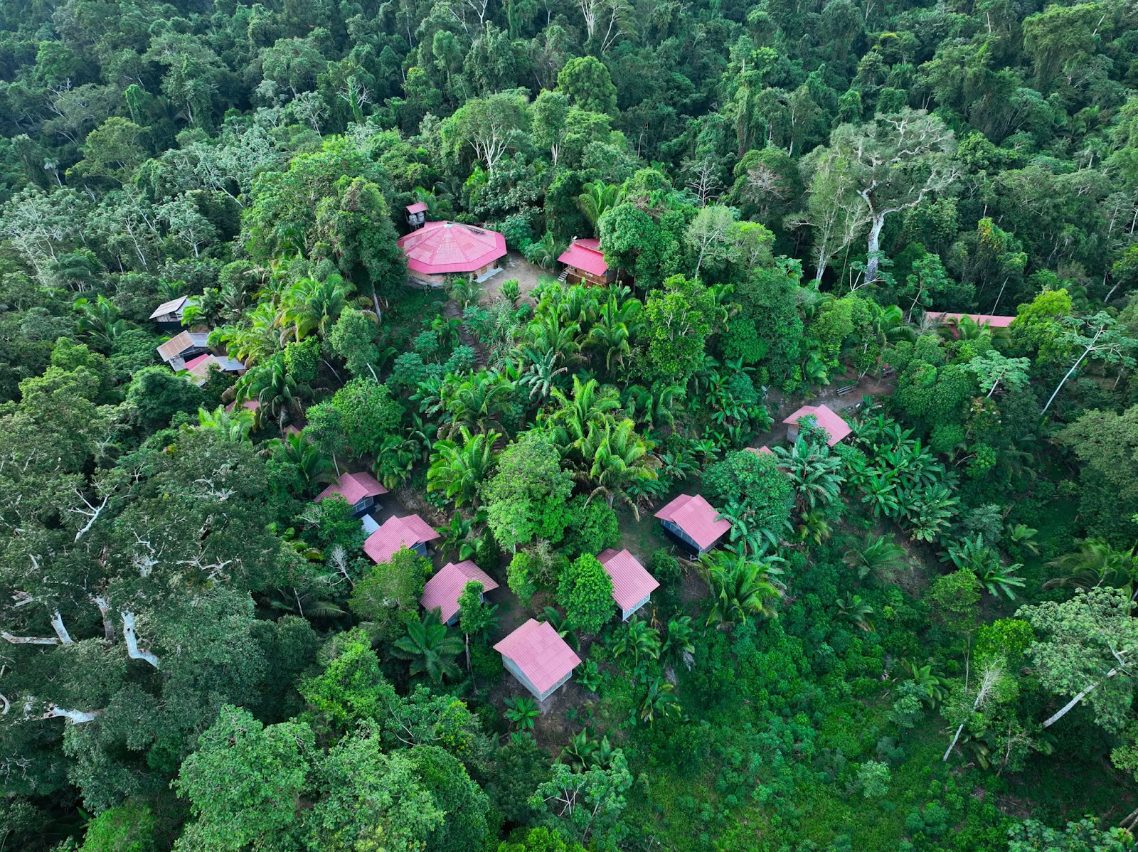 Курорт Madre Selva
