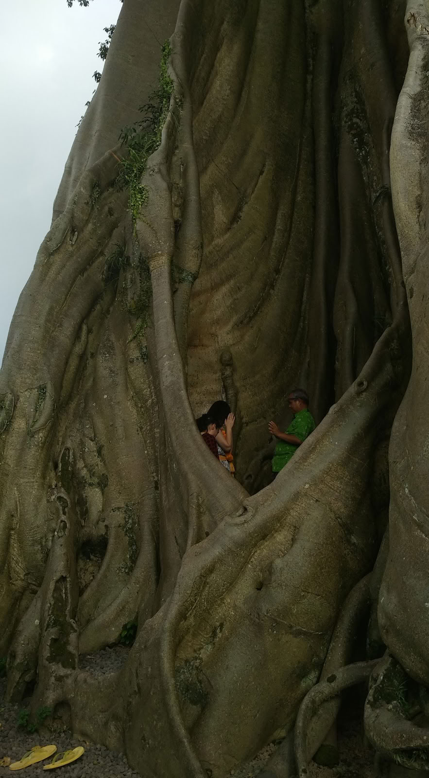 Велнес и культура Бали от Taman Usada Bali