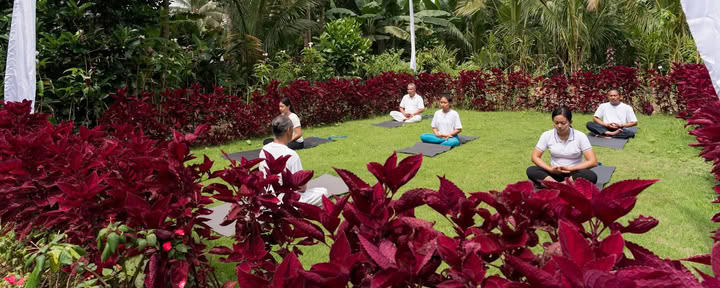 Велнес и культура Бали от Taman Usada Bali