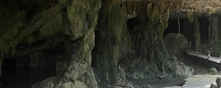 Джунгли-йога в Тулуме