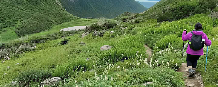 Ретриты Transform Gros Morne