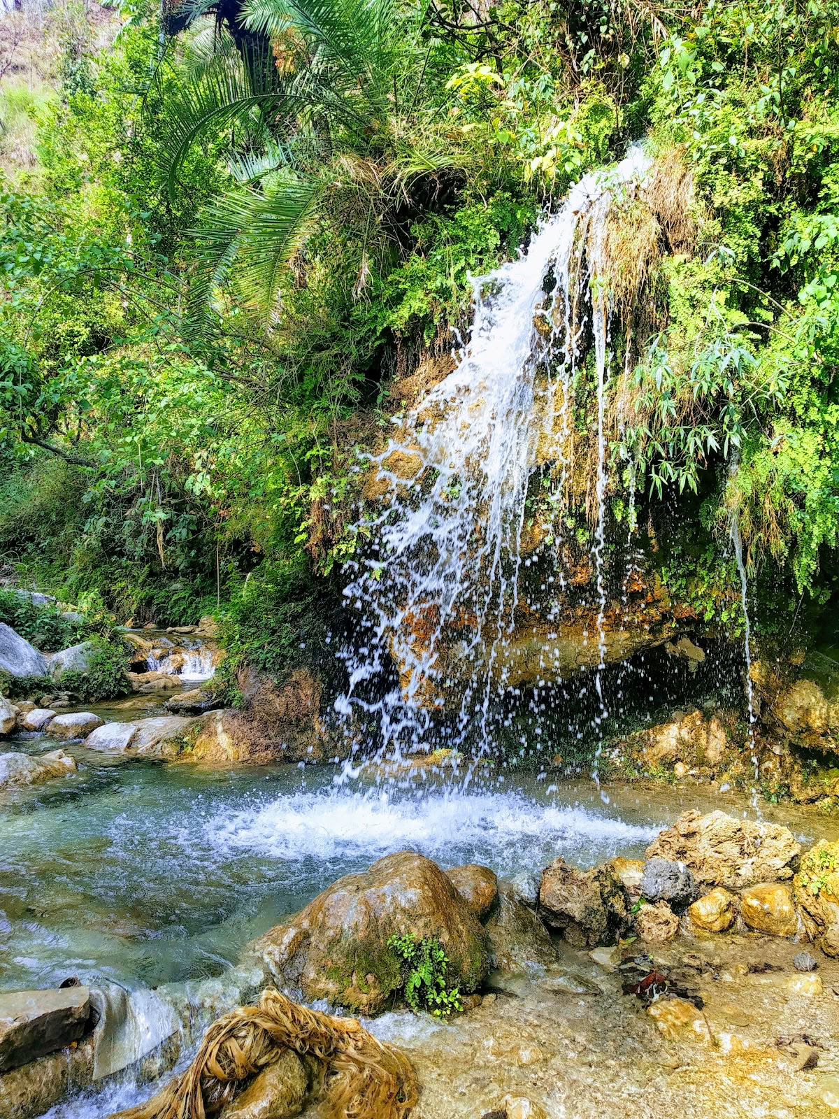 Курорт в долине Ришикеша