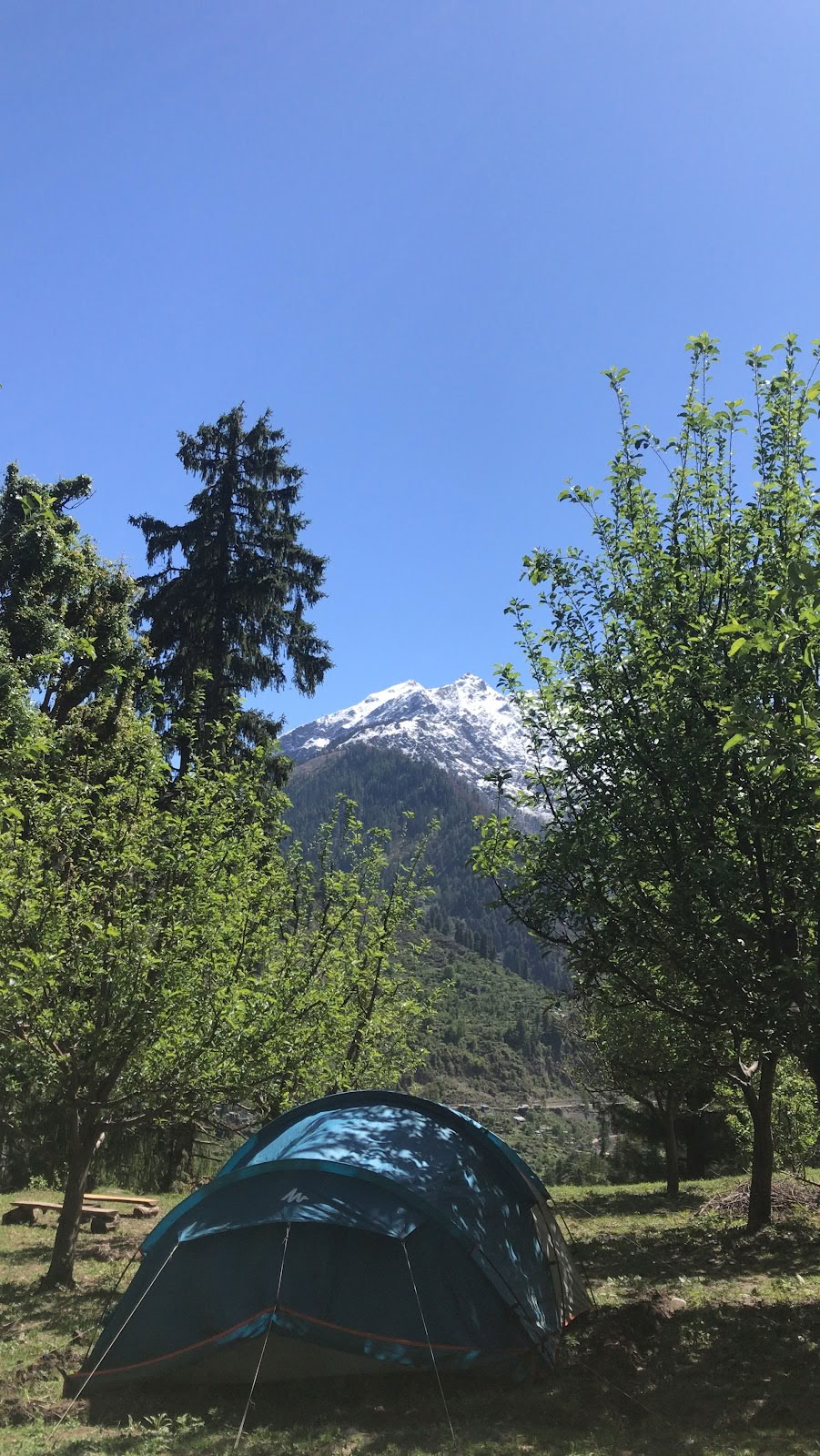 Гималайского йога Амеи