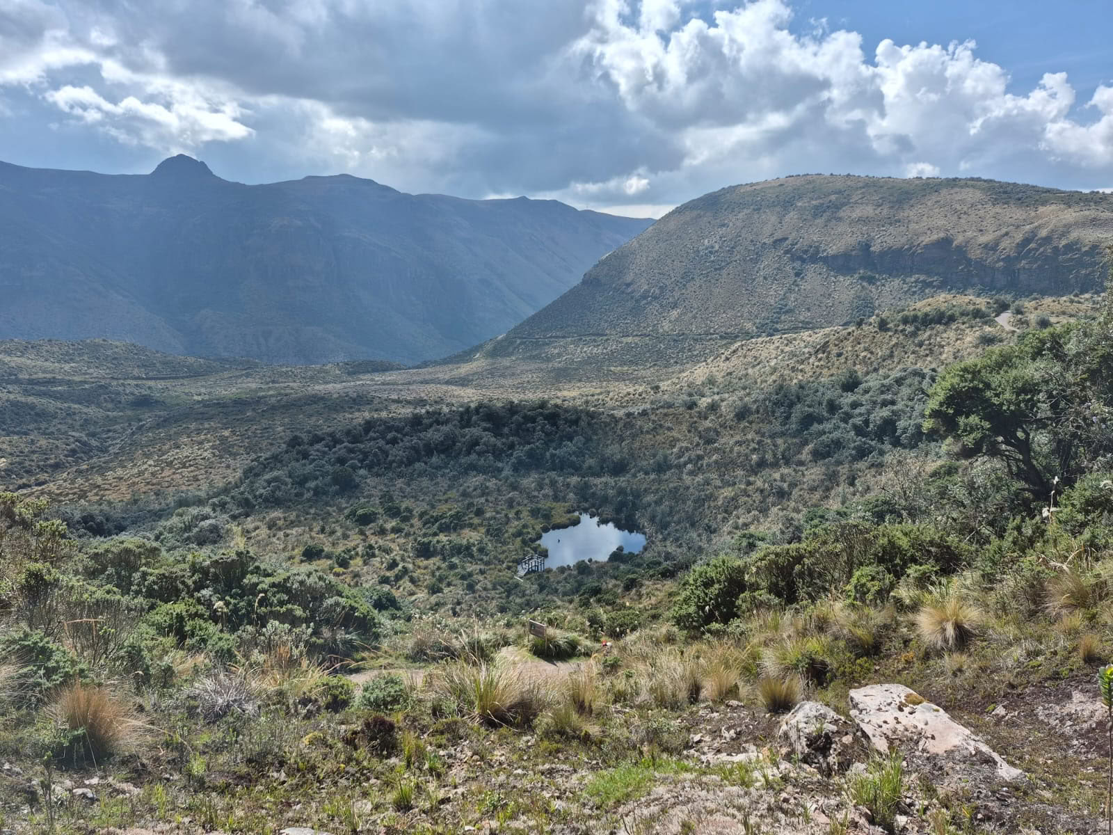 Ретриты Harmony Ecuador
