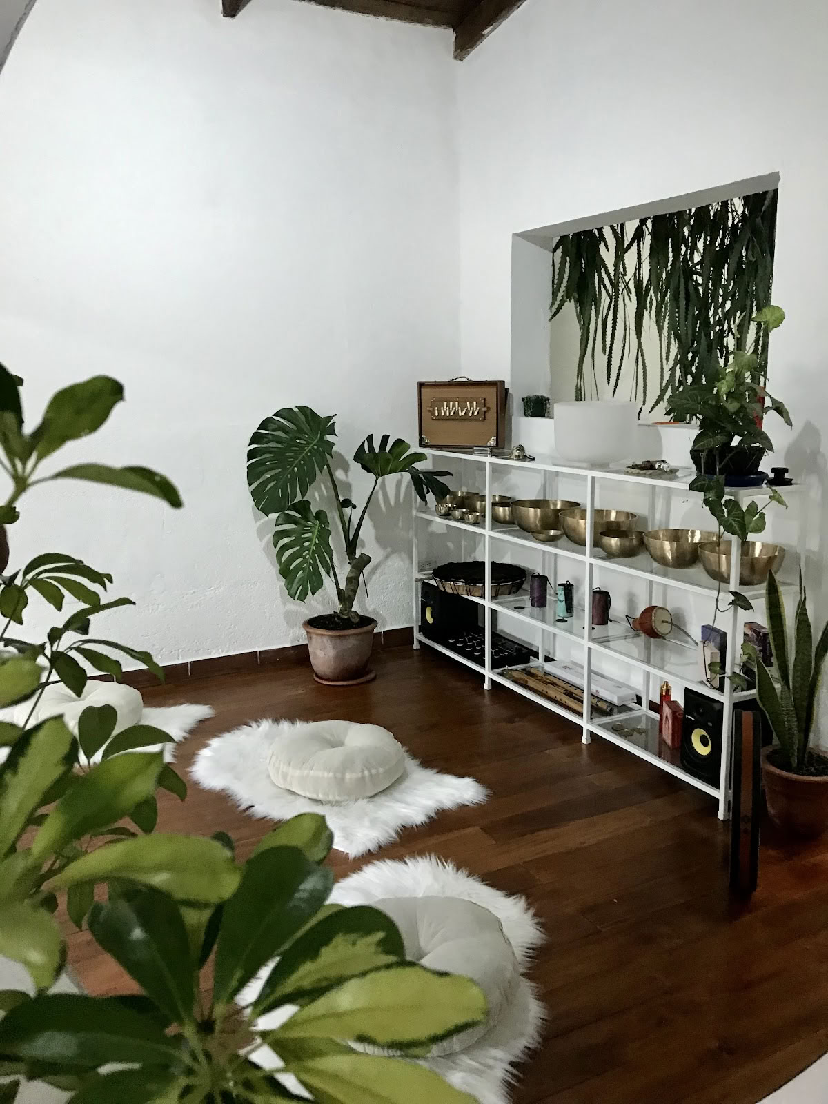 Центр здоровья и благополучия Holistic Bloom