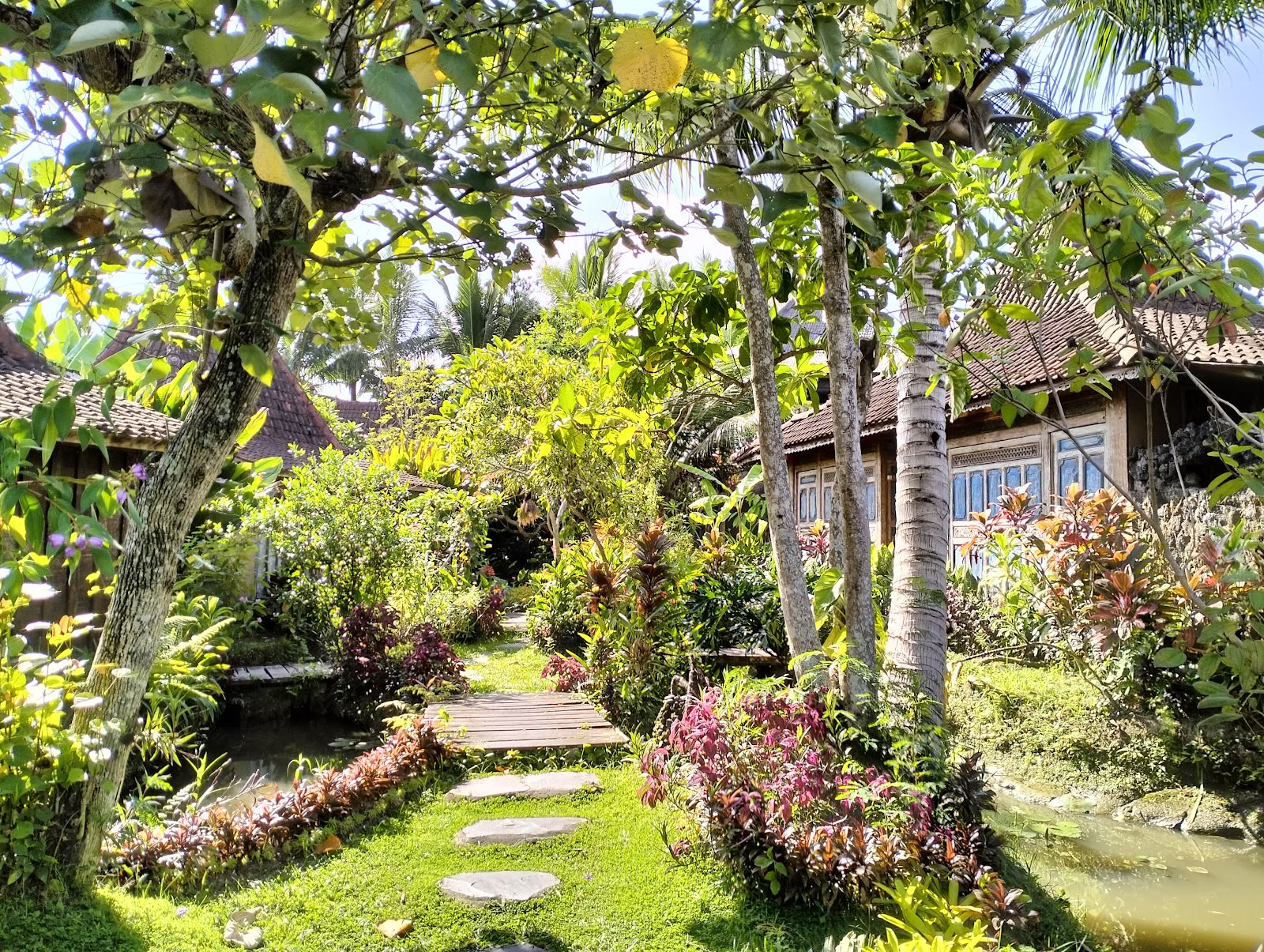 Деревня Стрекоза